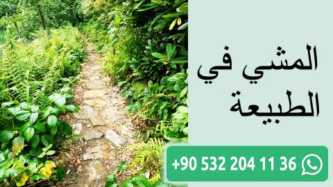 المشي في الطبيعة